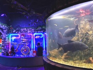 Развлекательный детский центр Aqua Mundo Sambil Санто-Доминго, Кеннеди