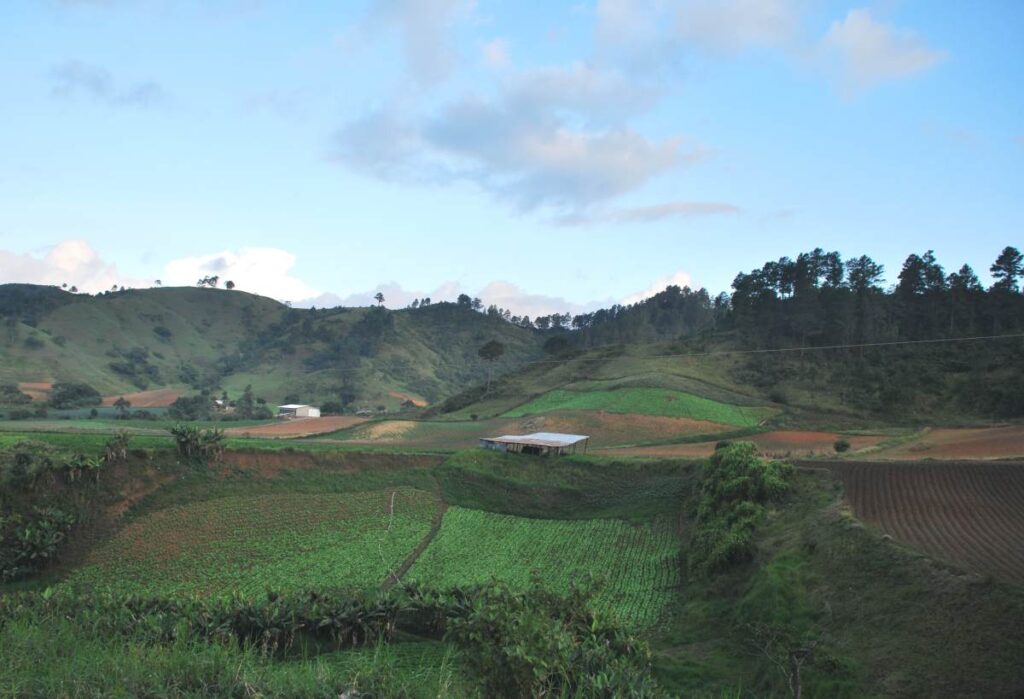 Campos agrícolas de la región montañosa de Constanza, República Dominicana