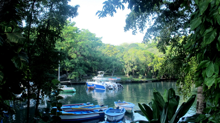 Nature of the Dominican Republic. Fauna and Flora.