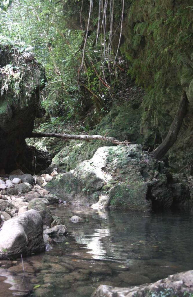 Cascada El Limón, Samaná, República Dominicana