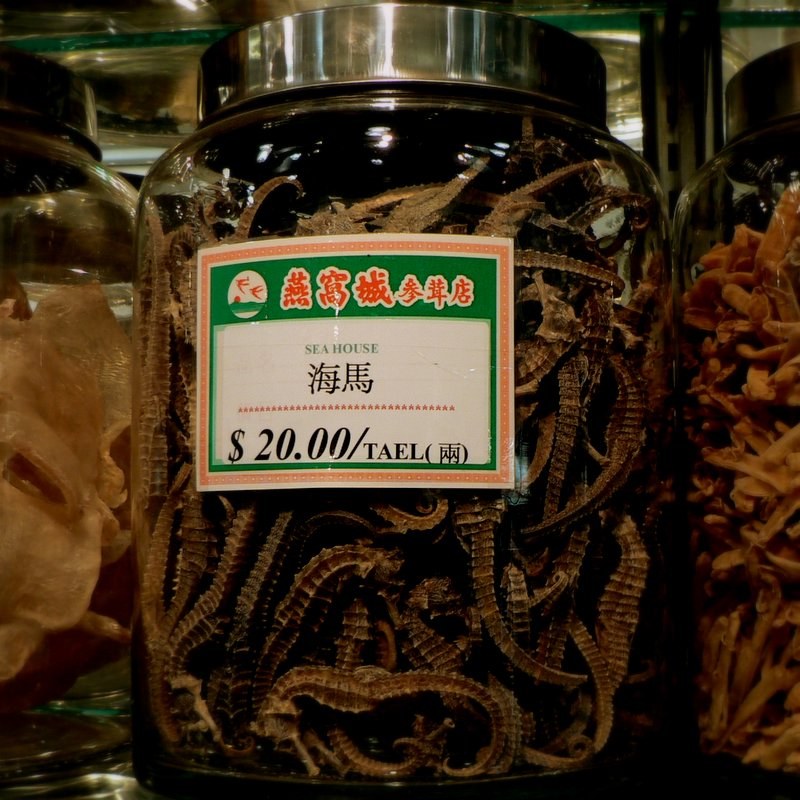 Сушёные морские коньки в продаже в китайском квартале; 2005 год. 