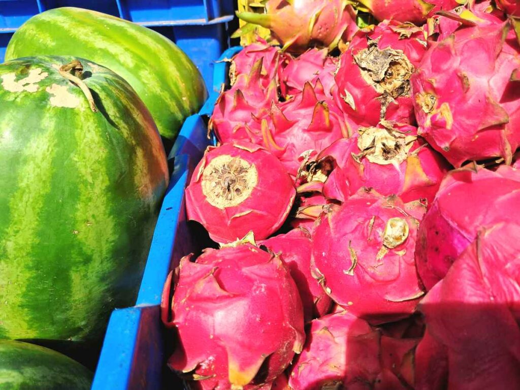 Арбузы и питайя (драконий фрукт -pitahaya / fruta del dragón). Воскресный рынок в Китайском квартале Санто-Доминго. Доминиканская Республика